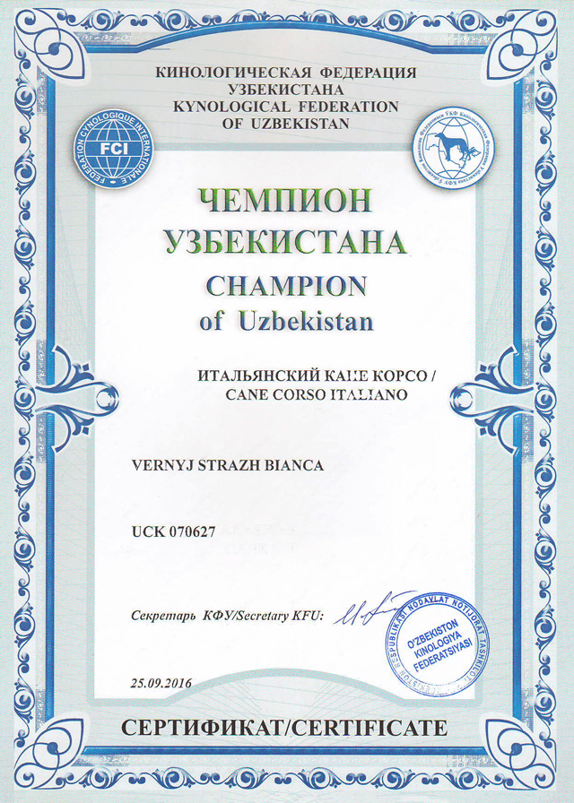 Сертификат Чемпион Узбекистана 25/09/2016