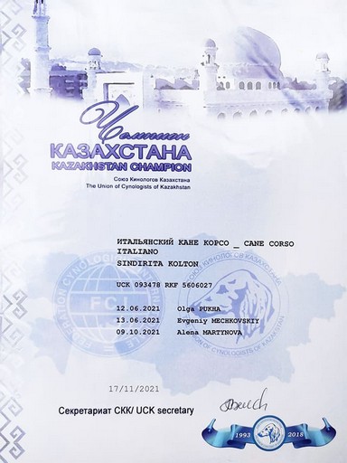 Diploma of Sindirita Kolton Champion of Kazakhstan