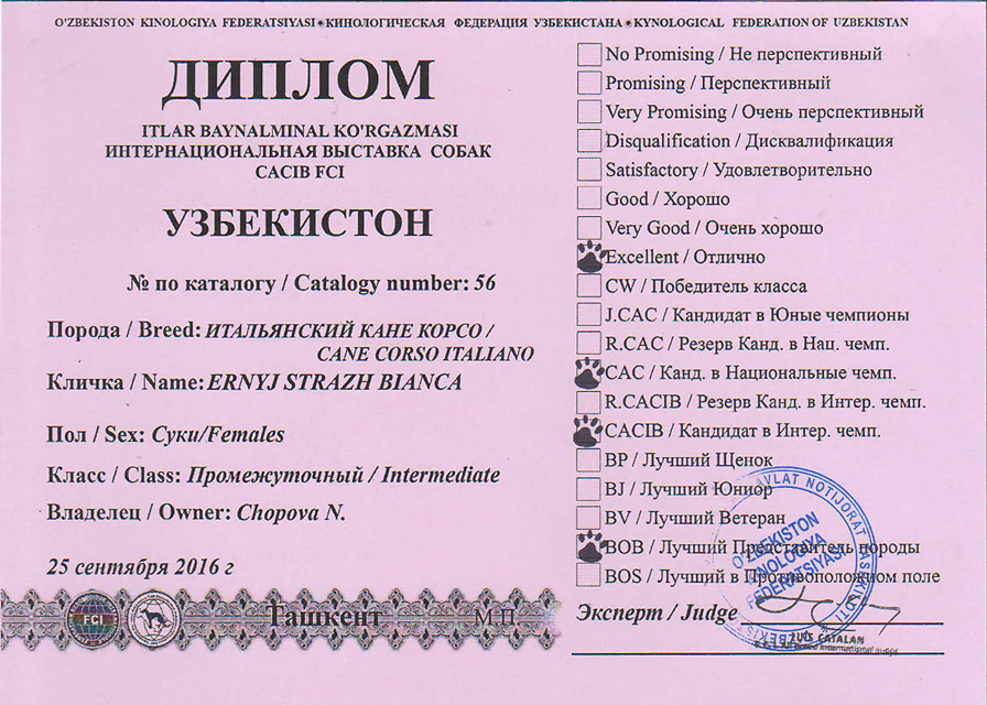 Диплом KFU Узбекистон -- Excellent CAC CACIB BOB 25/09/2016