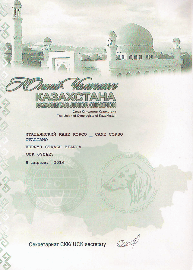Сертификат Юный чемпион Казахстана 9/04/2016