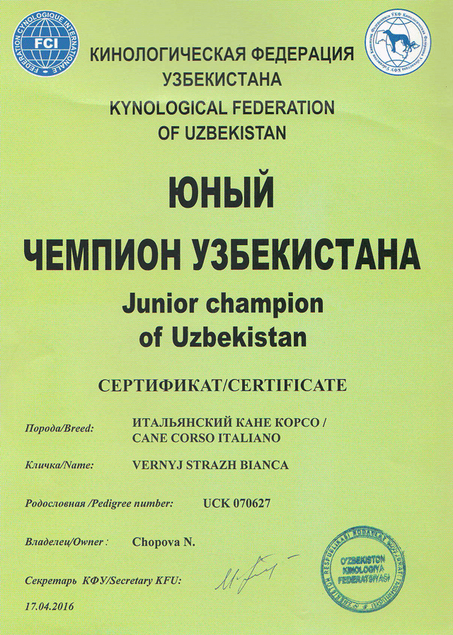 Сертификат Юный чемпион Узбекистана 17/04/2016